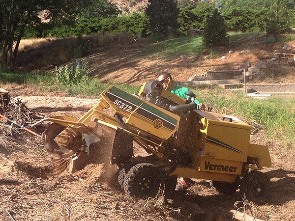 Stump Grinder Grand Junction