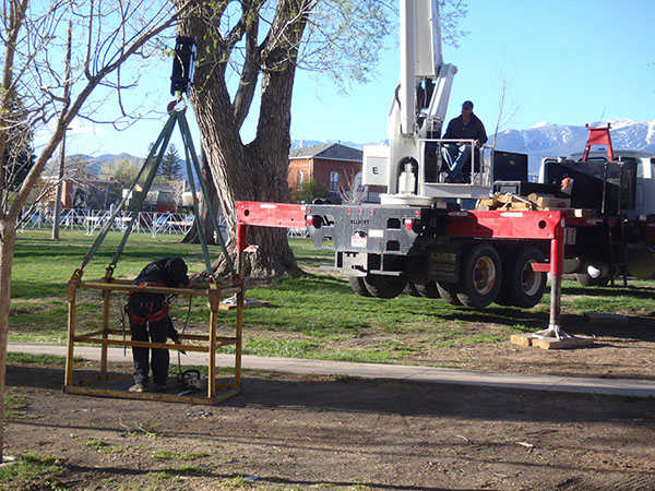 Grand Junction Tree Trimming